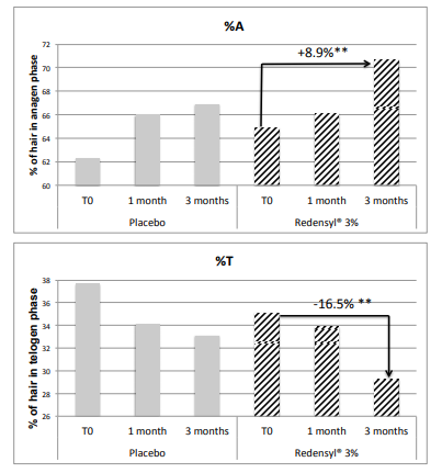 成長期の髪が増え、休止期の髪が減った